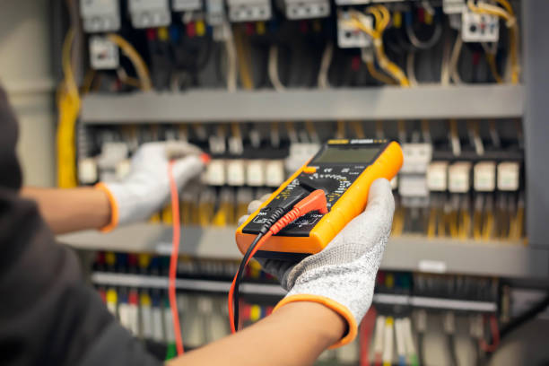 Best Electrical Panel Upgrades  in Harvey, MI